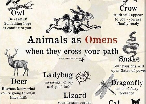 Lexicon of the Damned